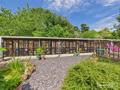 CATTERY 13 ROOMS